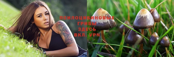 альфа пвп Нефтекумск