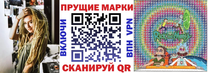 где купить наркоту  Камышин  маркетплейс состав  Марки N-bome 1,8мг 