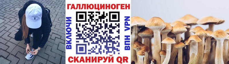 Галлюциногенные грибы Magic Shrooms  Камышин 