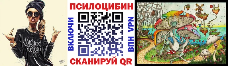 Псилоцибиновые грибы Psilocybine cubensis Камышин