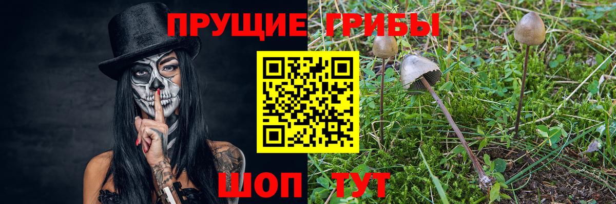 Псилоцибиновые грибы прущие грибы  Камышин 