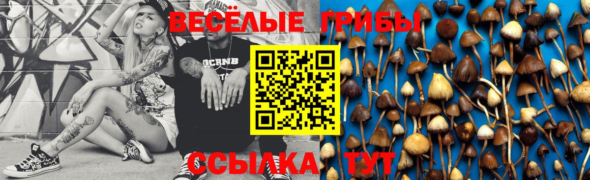 Псилоцибиновые грибы MAGIC MUSHROOMS Камышин