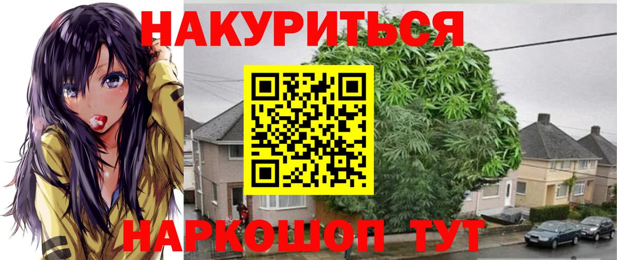 Бошки Шишки конопля  Камышин  Марихуана гибрид  Шишки марихуана OG Kush  Канабис Bruce Banner 